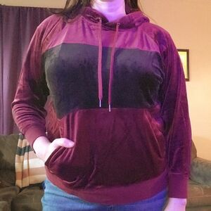 Champion Elite Velour Hoodie